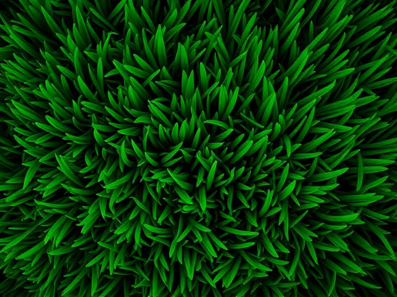 Textura da Grama Esmeralda